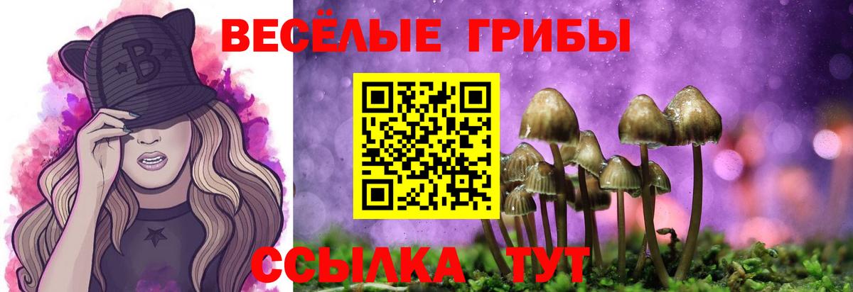 наркошоп  Псилоцибиновые грибы GOLDEN TEACHER  Вход с VPN  Выкса  Псилоцибиновые грибы Cubensis 